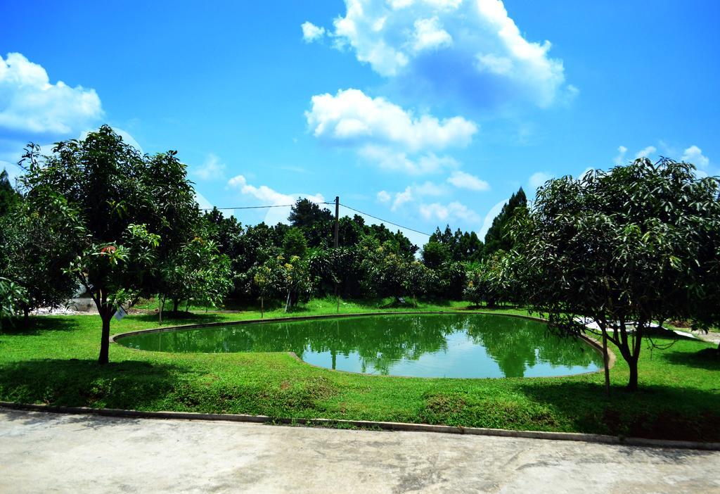 The Highland Park